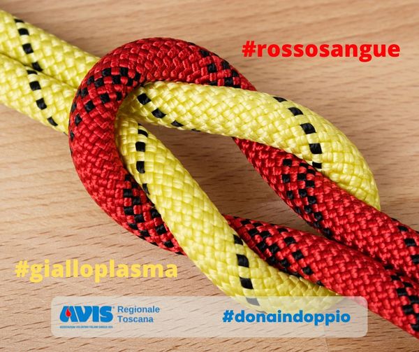 AvisPiazze's tweet photo. ❤💛 #donaindoppio 💛❤
#prendinota: puoi donare plasma tra due donazioni di sangue ed aiutarci a raggiungere l'autonomia, senza dover importare plasma dall'estero.
È un traguardo importante e dobbiamo impegnarci al massimo per raggiungerlo. https://t.co/gBie5XWsXi