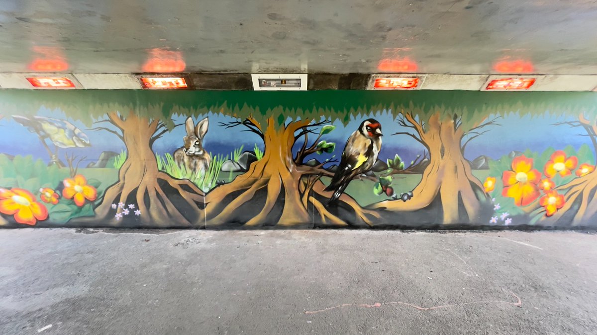 CommunitySASAP's tweet image. Thanks  @InPaintWeTrust @StreetArtStrategy  and @CityofCulture for helping us put our thoughts into reality. 
SASAP wants safer, cleaner, greener streets and parks, 
Look how the area has been transformed!!