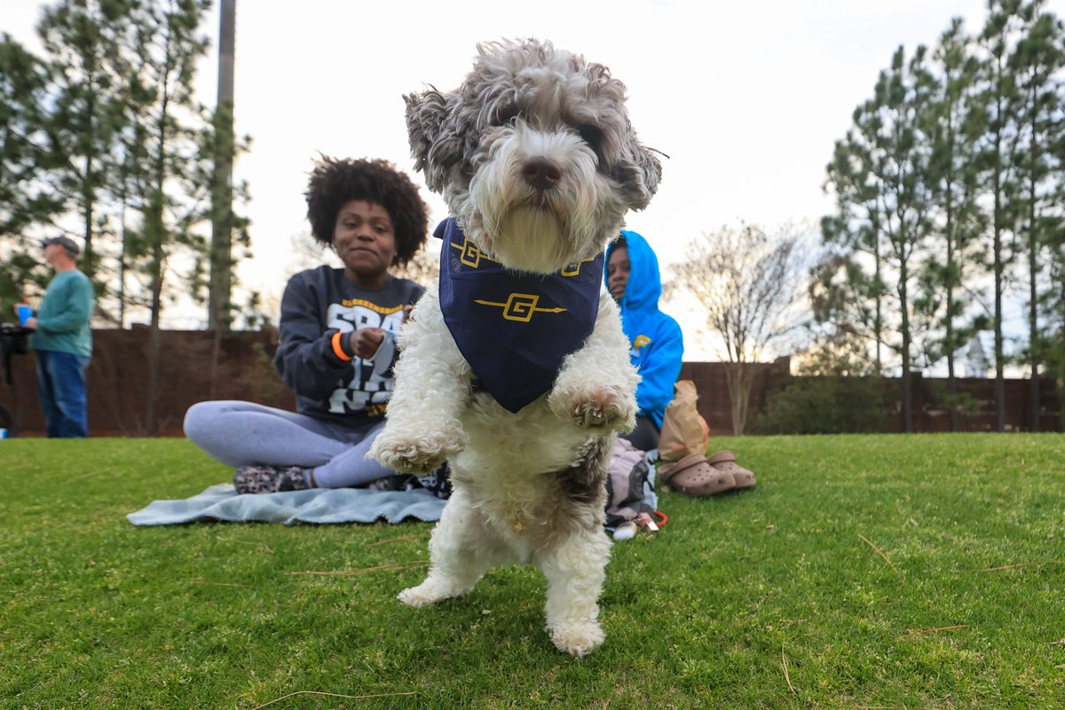 UNCGBaseball's tweet photo. Bark in the Park is definitely our favorite night πΎ Thank you to everyone that came out to support us last night!
#LosMuchachos https://t.co/l1jKp2scF6