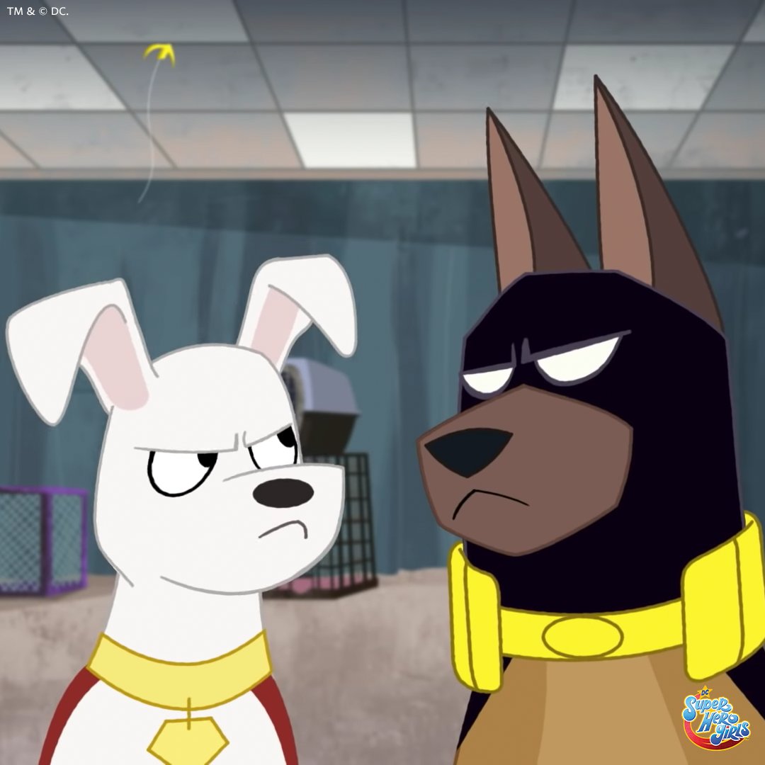 Ace and Krypto look so fetching! #NationalPuppyDay 🐶