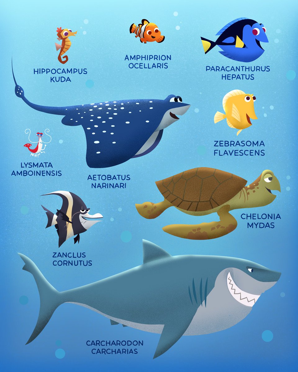 Disney's tweet photo. There are plenty of fish in the sea, and each of them has a scientific name! 🐠 🔬 https://t.co/q3zCUWe8Bd