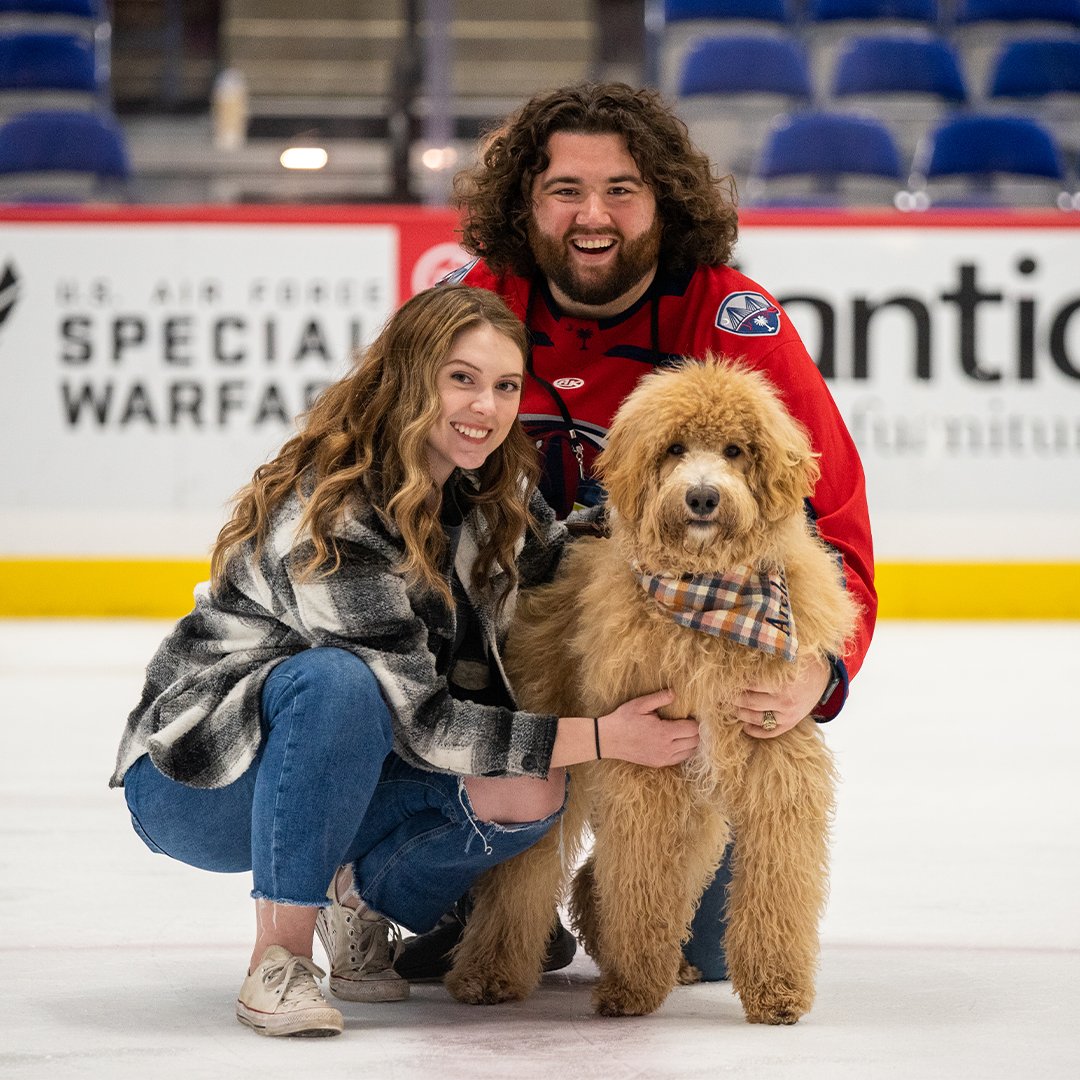SCStingrays's tweet photo. Happy #InternationalPuppyDay - Meet Archie, our in-arena host Tyler's goldendoodle pup!🐶

Like and reply with a picture of your furry friend for a chance to win a Pet Supplies Plus $25 gift card and $25 grooming credit! 🐾 https://t.co/NBpU8LMdnR