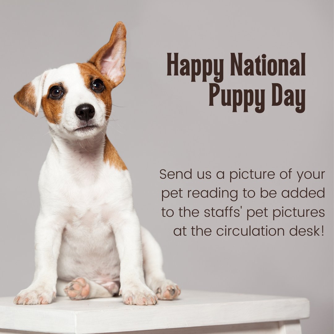 MaroonsLibrary's tweet photo. Today is Puppy Day!  If you want, tag us in a picture of your pet reading and we will print it and add it to our collection at the circulation desk.  We can't wait to see your furry (or scaly) friends! #ehslibrary #elginhighschool #elginil #maroonstrong #maroonpride https://t.co/vSY5kOcvhZ