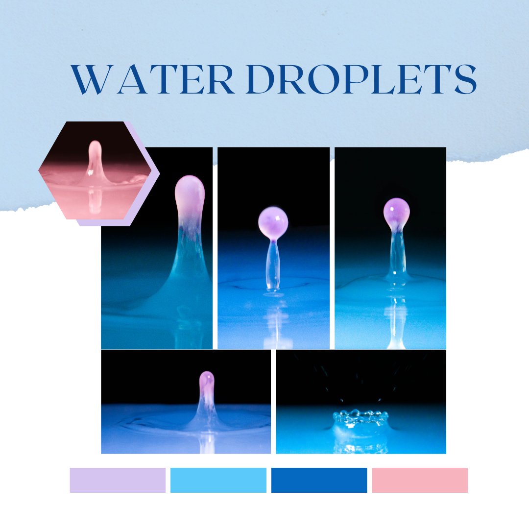 Gabi's fabulous water droplet shutter exploration, check out her captured images.