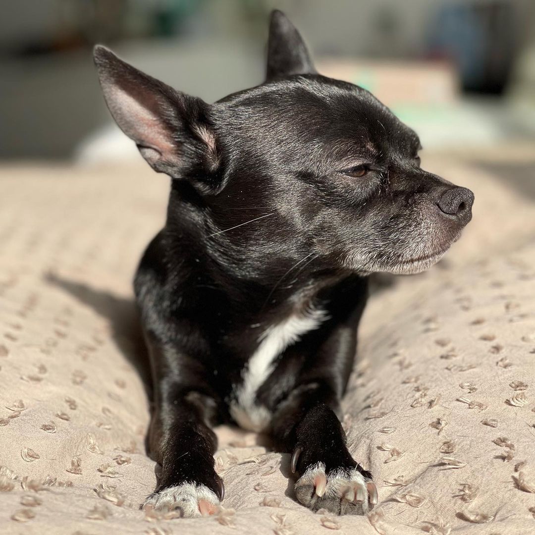 today my brain got the better of me and i got stuck in a funk but here are some things/moments throughout the day that made me feel calm