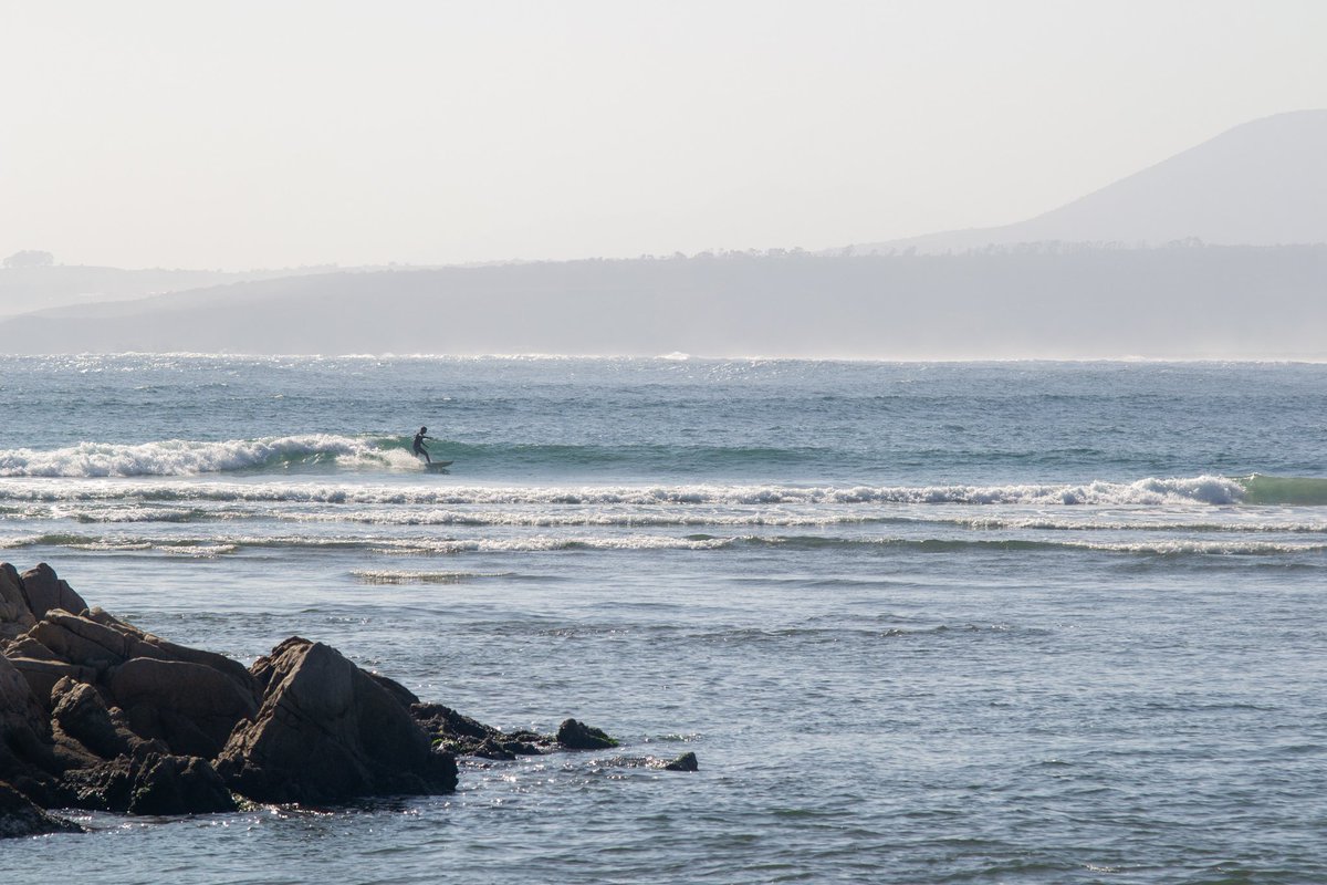 Valpo Surf Project tweet media