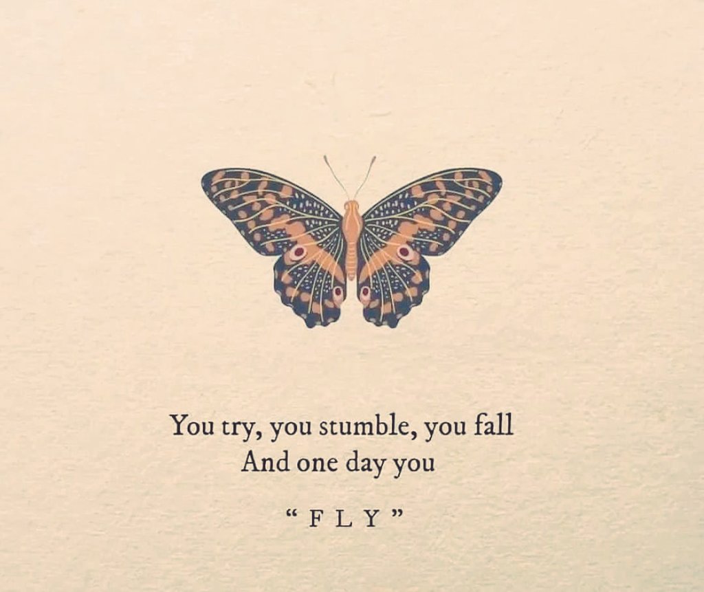 rupal_desai's tweet photo. Fly.... https://t.co/nLw7OHNaNT