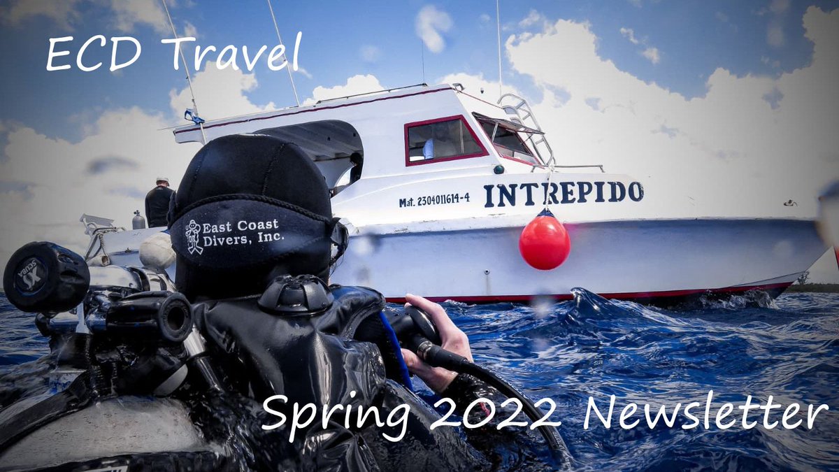 Let's Travel! - mailchi.mp/ecdivers/lets-…