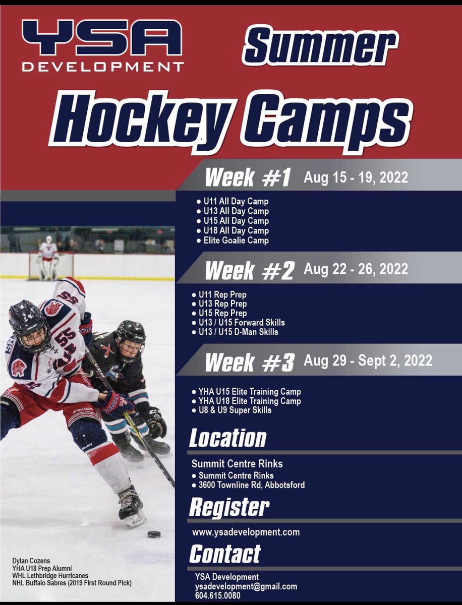 YHA_Lions tweet media