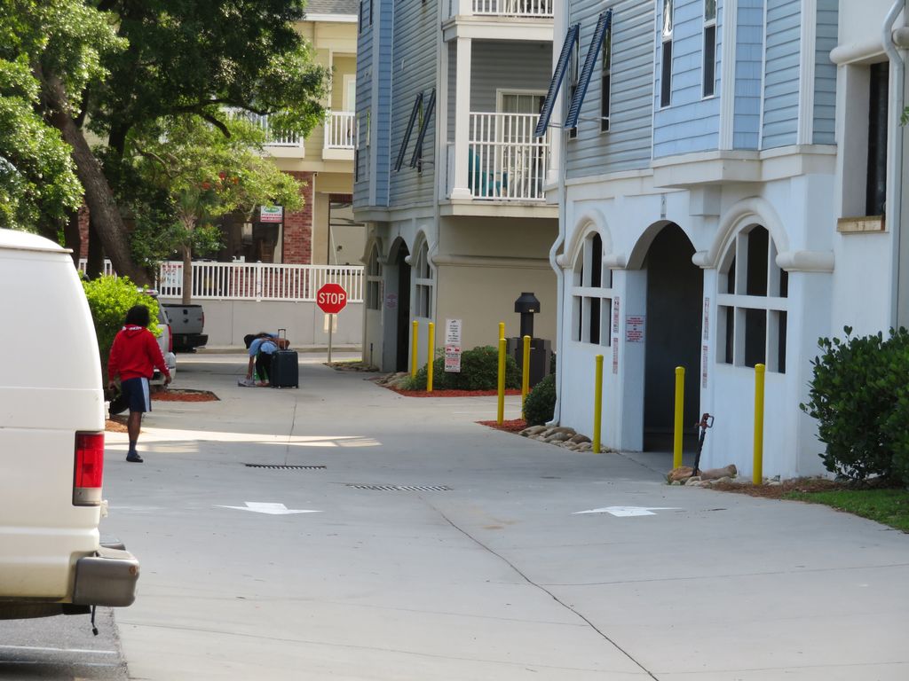 MBeachVillas_II's tweet photo. Sun #Soaked &amp; #laid-back #environment on the #pristine #white #sand #beach in the Myrtle Beach with #abundant of #beach #activities can be best #explored via MBVII’s #Myrtle_Beach_Villas. https://t.co/pJ1ilRE6CK https://t.co/S8O5s4jEQc