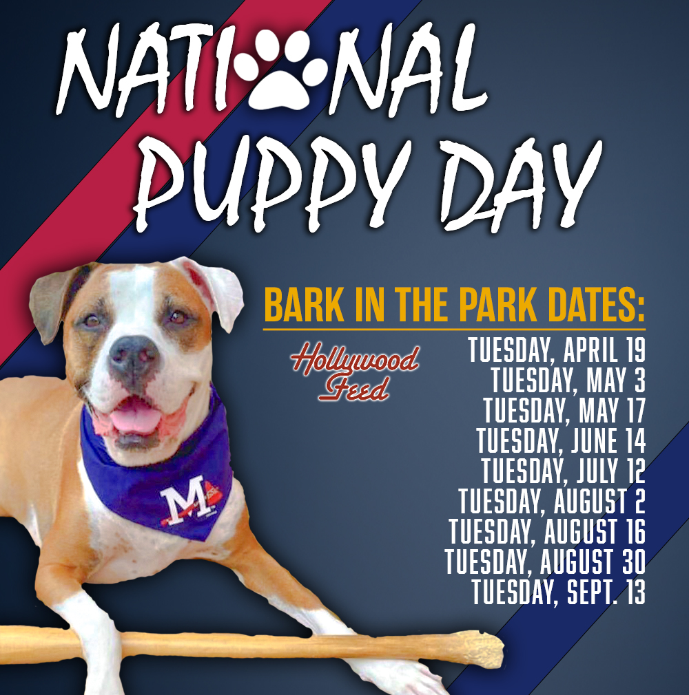 Mississippi Braves on X: Happy #NationalPuppyDay! Bark in the Park returns  in 2022 with nine Tuesdays overall! The first is April 19th. Dogs get in  free, but humans must pay. Get Tickets