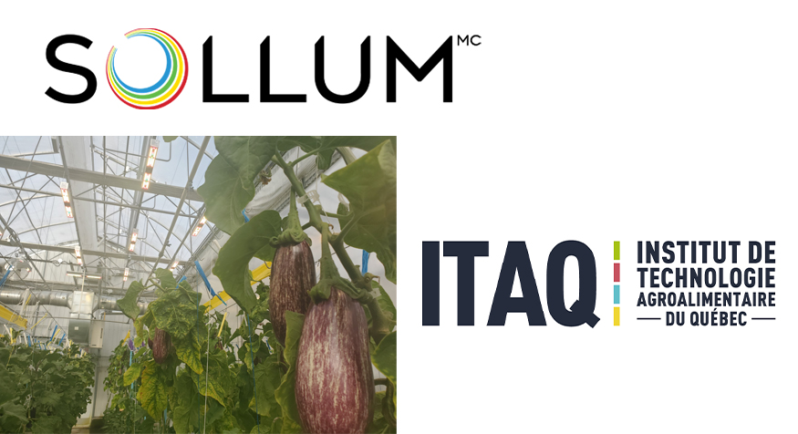 AgroQuebec's tweet photo. L’INSTITUT DE TECHNOLOGIE #AGROALIMENTAIRE DU #QUÉBEC CHOISIT LA SOLUTION D’ÉCLAIRAGE DE @SOLLUM POUR LA RECHERCHE EN SERRE https://t.co/NFjraMpnRH @ITAQofficiel @AishaIssa_ @mapaquebec @andrelamontagn2 @economie_quebec @InvestQuebec @_PremierTech @upaqc  @mclaudebibeau https://t.co/dfchstbdtF