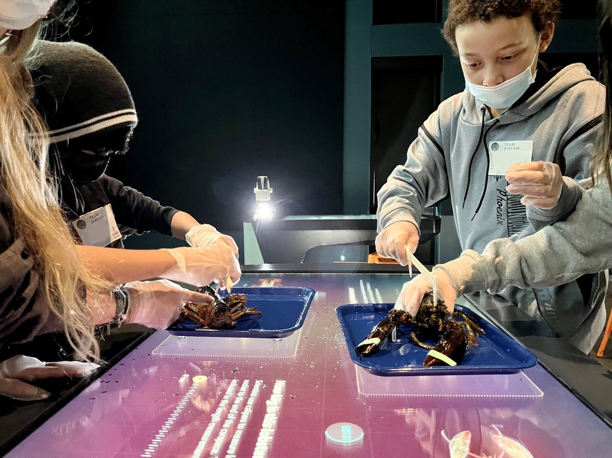 GMRI's tweet photo. #LabVenture brings science to life for students. Through hands-on activities like measuring live lobsters, surveying plankton, and digitally dissecting fish, Maine 5th and 6th graders are engaged in some of the important work done by scientists right here in the Gulf of Maine. https://t.co/BCCT2MExmd