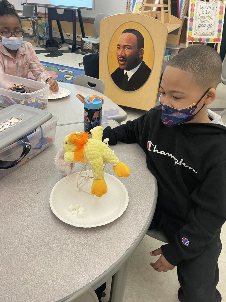 mrsmichelSL's tweet photo. Today, we learned about our friends Sue and Otto - the hawks who nest at SU! For enrichment, our job was to build a structure that could hold a chick. Check out some of these structures! @MrsGiannuzziSL @SyracuseSchools @syracuselatin https://t.co/ALXAkO6ckt