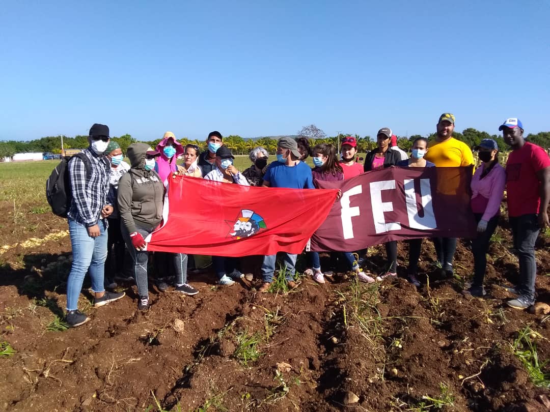ujc_ucmvc's tweet photo. Porque decir que nuestra juventud no fallará no es una consiga sino un compromiso con la #RevolucionCubana. Aquí estan nuestros jóvenes en el surco, contribuyendo con la economía del país. #CubaAvanza y trabaja.
#VamosConTodo @ujc_ucmvc @UJCuba @FeuVilla https://t.co/LGjfc8wOgT