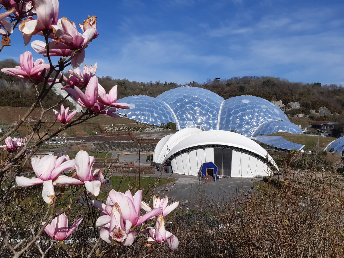 Littleashgarden's tweet photo. A beautiful morning @EdenProject making the most of The National Lottery free entry this week. https://t.co/nMt3sEbdmC