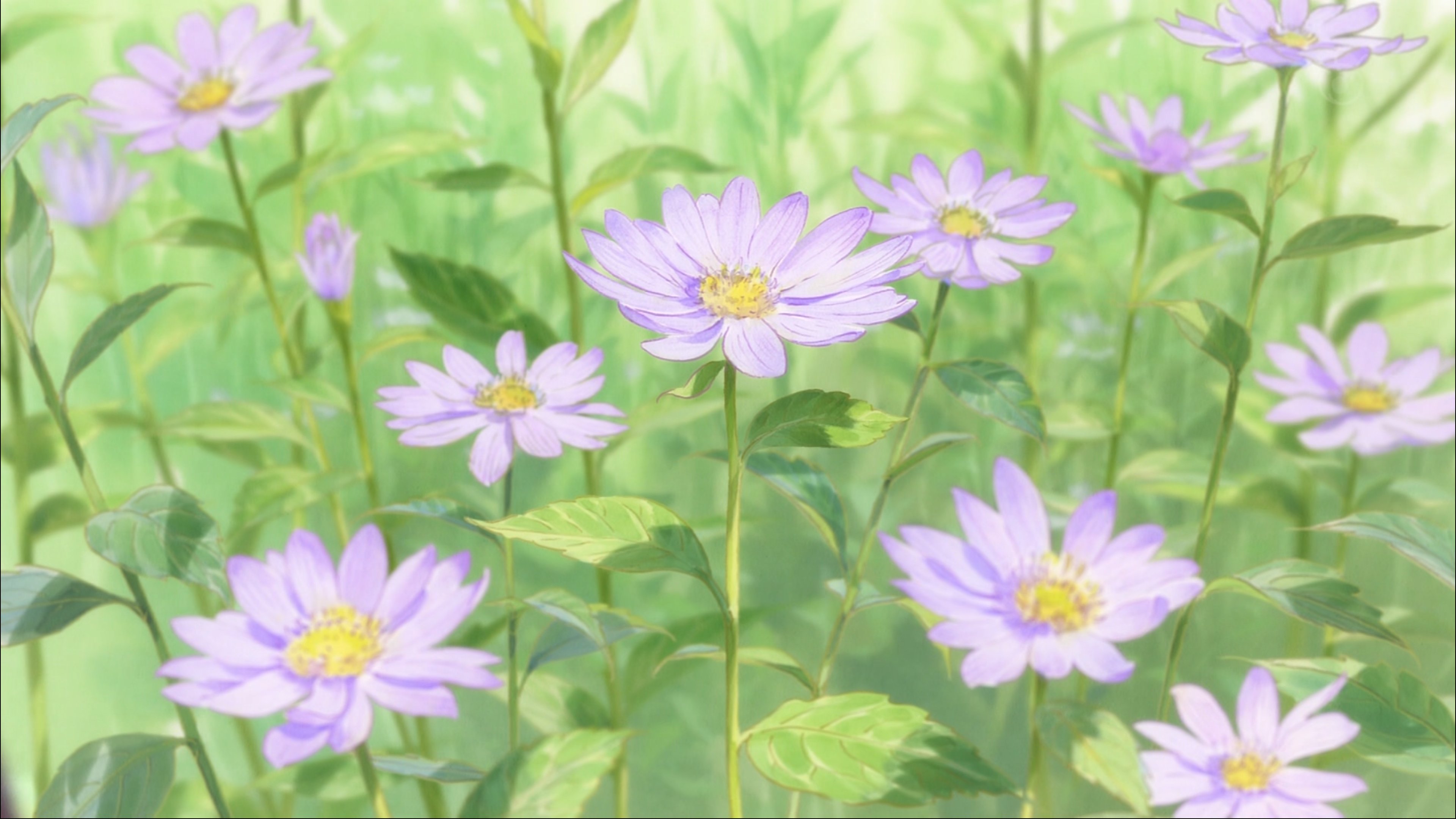 壁とか机とか 紫苑の花言葉は 追憶 君を忘れない 藤の花言葉は 優しさ 歓迎 ツツジの花言葉は 節度 慎み カラスノエンドウの花言葉は 喜びの訪れ 未来の幸せ 平家物語 Heike Anime T Co Vyneehktao Twitter