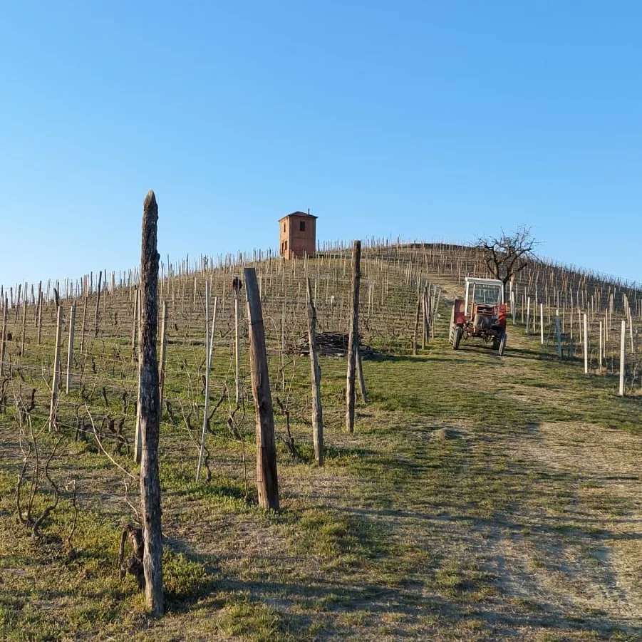 📌 Oggi il sopralluogo nel centro storico di Isola D'Asti

Vi lasciamo qualche foto 📸 
<a href="/UniEuropeaRoma/">Università Europea di Roma - UER</a>

#isoladasti #sopralluogo #turismo #valorizzazionedelterritorio #Greal #universitàeuropeadiroma #uer