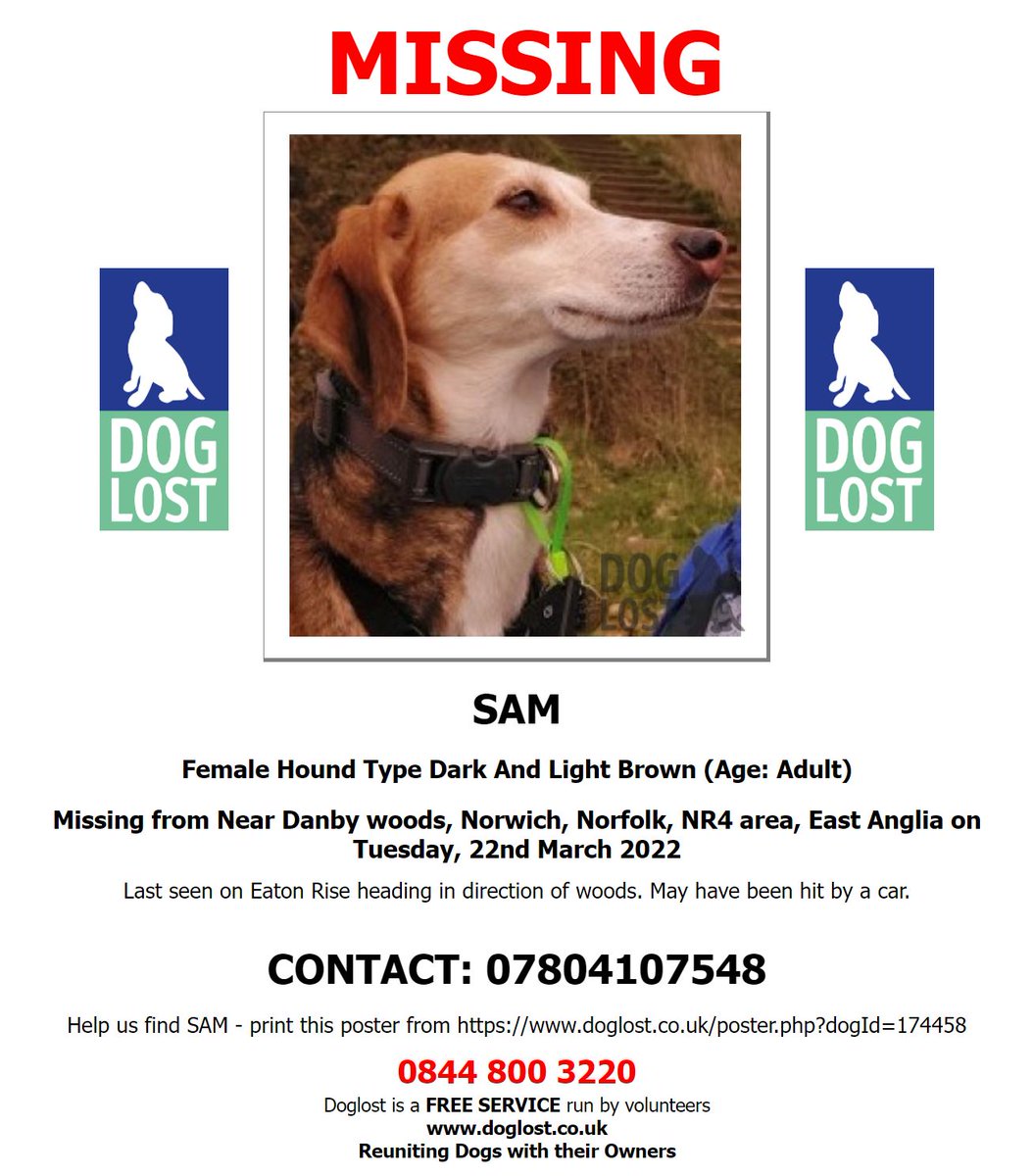 DogLost Norfolk Suffolk & Cambridgeshire tweet media