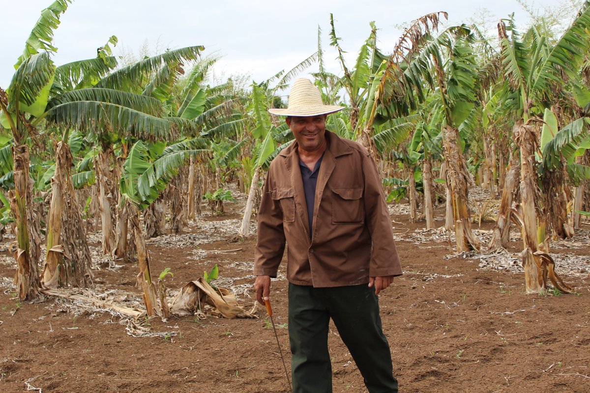WFP_Cuba's tweet photo. “En la lucha contra la desertificación y la sequía los conocimientos y la enseñanza valen más que los recursos”.
Así refiere el productor holguinero Juan Carlos Batista, beneficiario del proyecto DIPECHO de #PMACuba y @PNUDCUBA, con fondos de @eu_echo
#DíaMeteorológicoMundial https://t.co/TTL9V5oFOg