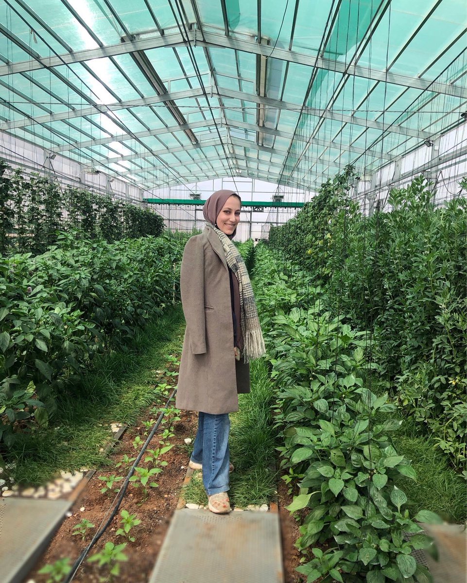 AljamalAbrar's tweet photo. بداية المشروع🌱                             النتيجة 🥺 https://t.co/Tzzm9a8jUA