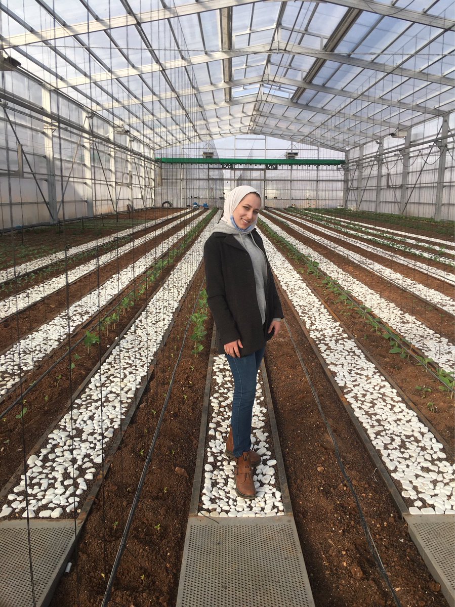 AljamalAbrar's tweet photo. بداية المشروع🌱                             النتيجة 🥺 https://t.co/Tzzm9a8jUA