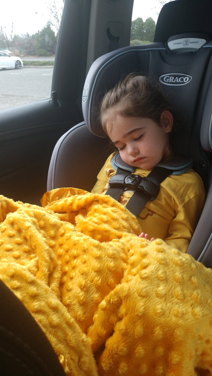 PiPPi1784's tweet photo. When the cleaners decide to come at nap time.....Target parking lot nap it is ... https://t.co/iT6n2O172q