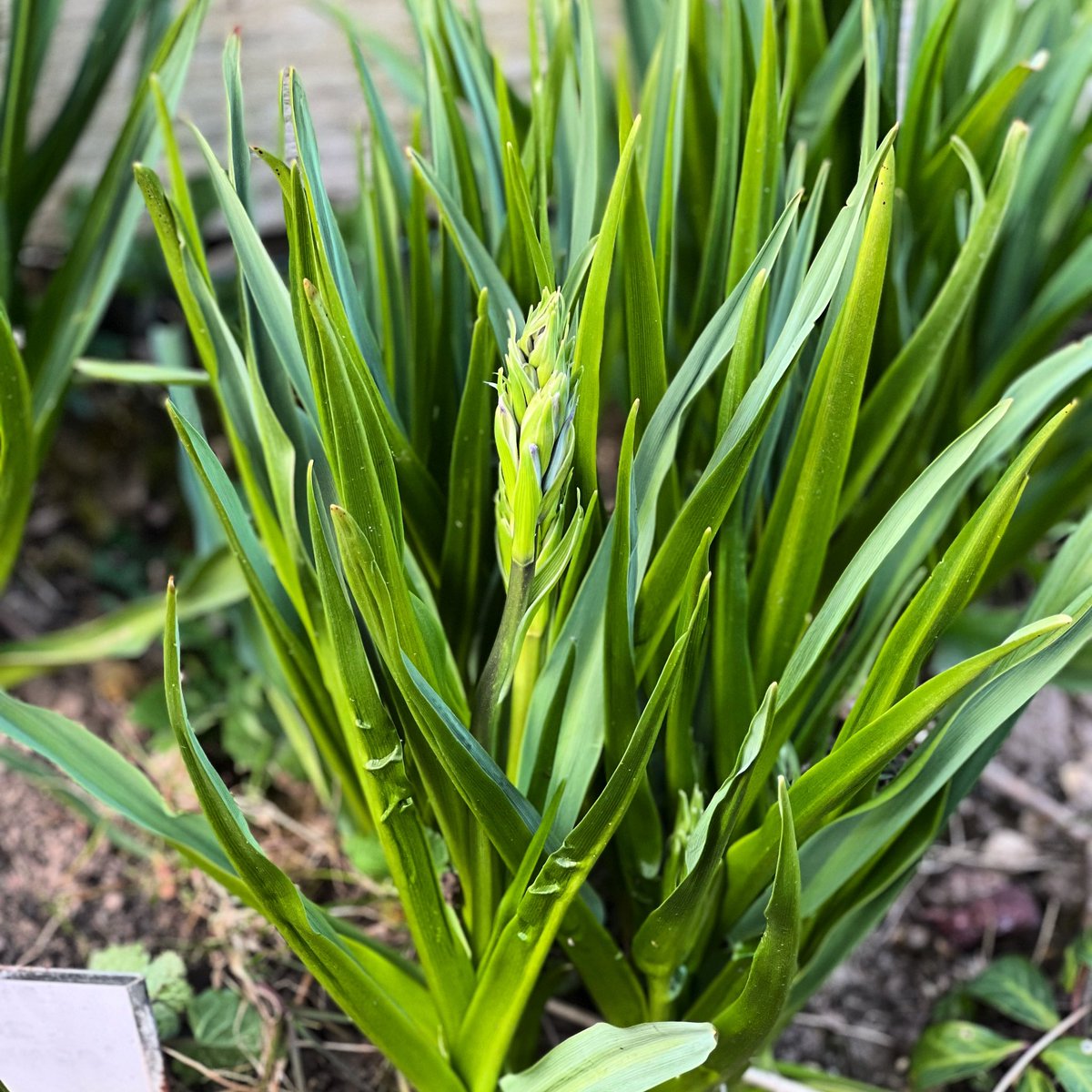 Rob Smith tweet media