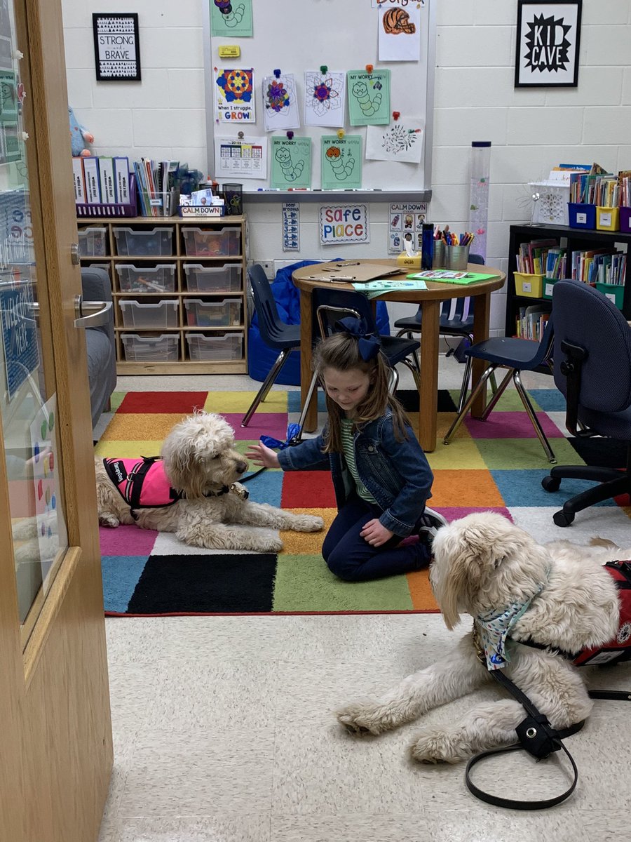MECC_Counselor2's tweet photo. These two #Coworkers had a great morning together! They worked hard to spread lots of smiles! They know two tails are better than one! 💚 #MVP #MostValuablePups #Shinerlove #GibsonSparkles #dogsofmason @MasonSchools @MrsBly_MECC @schatzj9 @robynathomas @brown_katie4 https://t.co/UaREjjUl3I