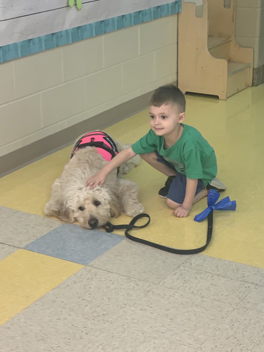 MECC_Counselor2's tweet photo. These two #Coworkers had a great morning together! They worked hard to spread lots of smiles! They know two tails are better than one! 💚 #MVP #MostValuablePups #Shinerlove #GibsonSparkles #dogsofmason @MasonSchools @MrsBly_MECC @schatzj9 @robynathomas @brown_katie4 https://t.co/UaREjjUl3I