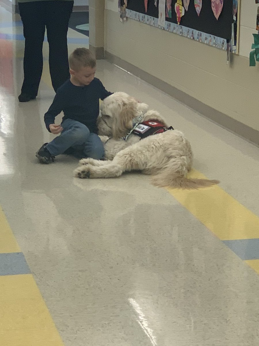 MECC_Counselor2's tweet photo. These two #Coworkers had a great morning together! They worked hard to spread lots of smiles! They know two tails are better than one! 💚 #MVP #MostValuablePups #Shinerlove #GibsonSparkles #dogsofmason @MasonSchools @MrsBly_MECC @schatzj9 @robynathomas @brown_katie4 https://t.co/UaREjjUl3I