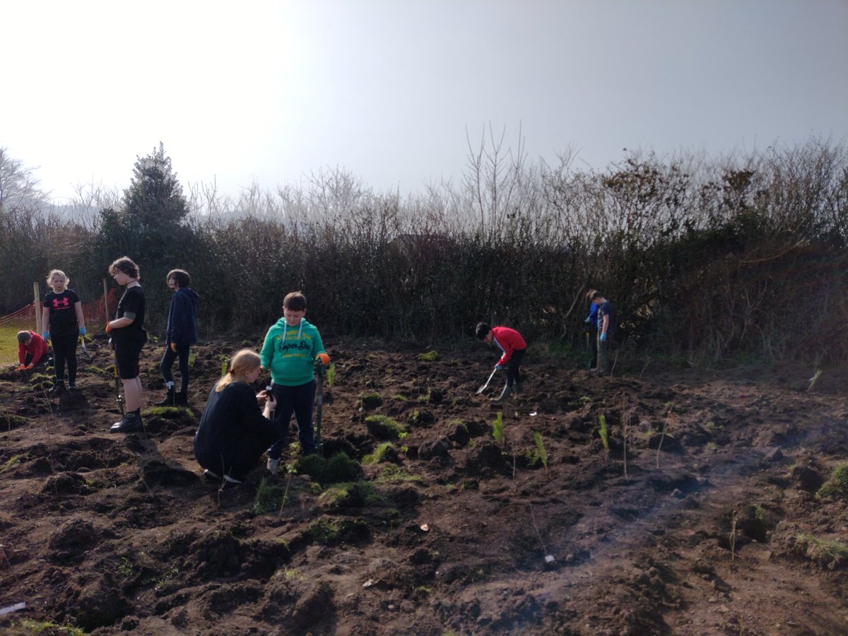 Colinton Primary tweet media