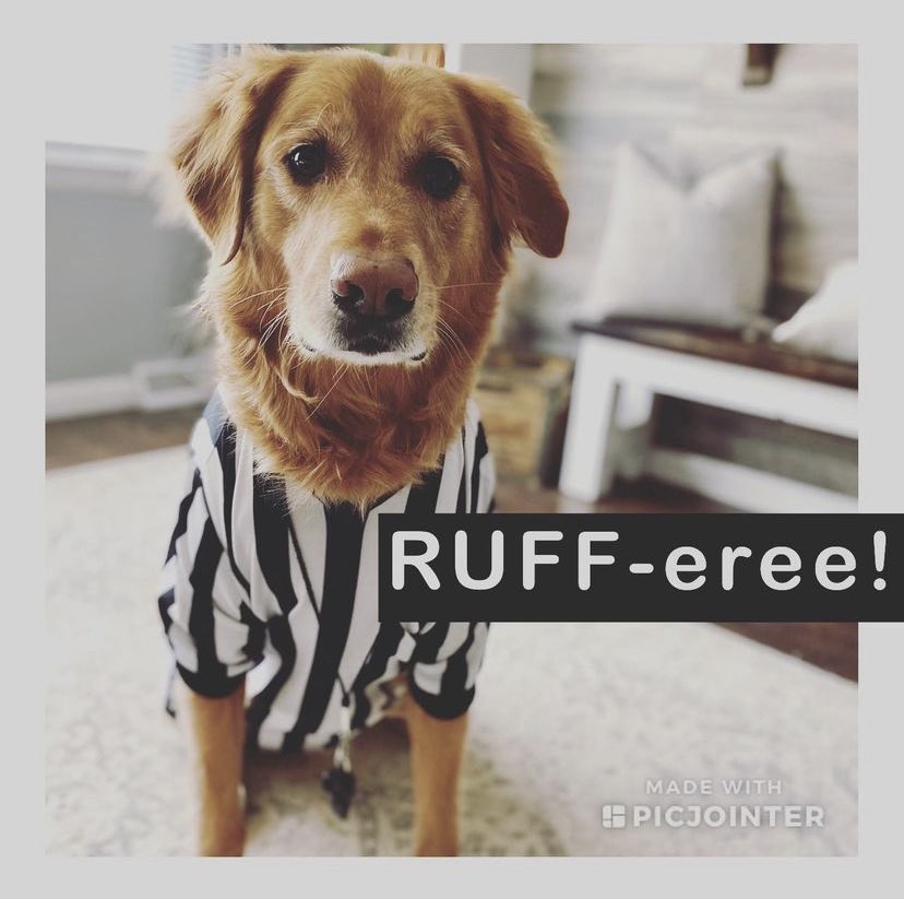 Heather24Golden's tweet photo. @espn Technical foul for excessive cuteness! https://t.co/JEJOOeq1Jf