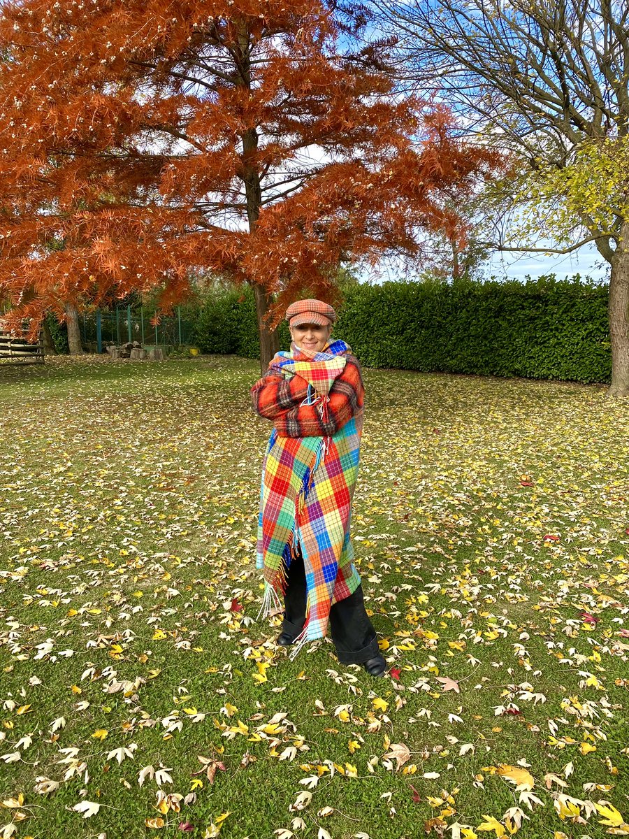 CarolynSmith51's tweet image. Ultima foto autunnale #goodbyeautumn 🍁🍂💚