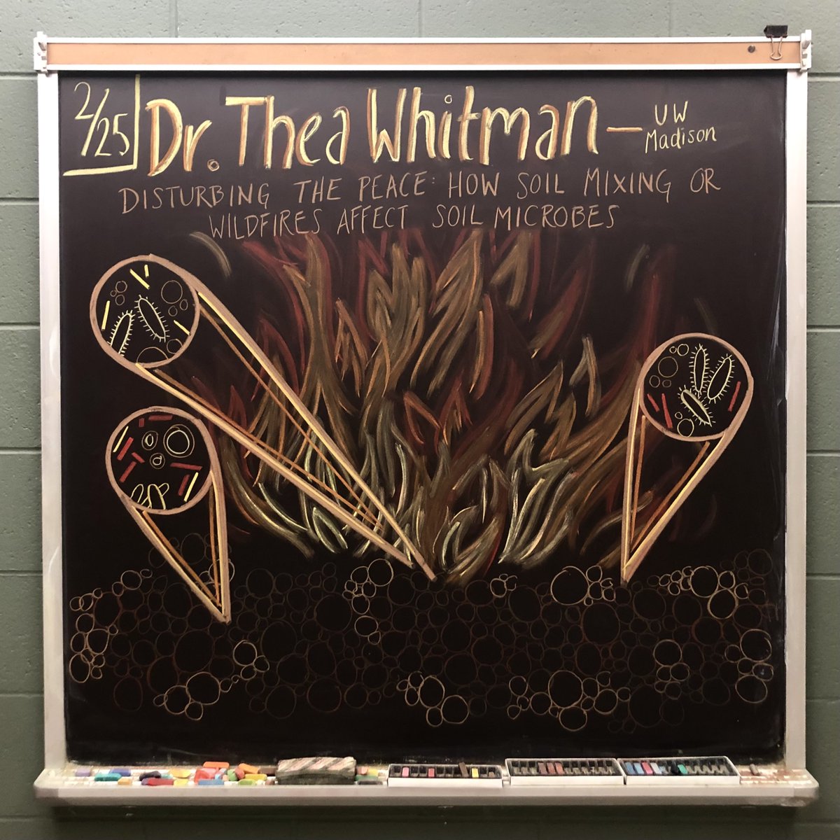 KBSchalkboard's tweet image. Fire and microbes! Tune in virtually or in person this Friday to learn about Dr. @TheaWhitman's research on soil microbial community response to disturbance and fire. #MSUKBS #SciArt