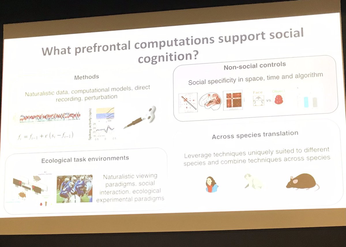 Jo Cutler (@drjocutler) on Twitter photo What a line up for day 1 of #CPPC! First day of in-person conference talks including - <a href="/lukejchang/">Luke Chang</a>, <a href="/OlgaDalMonte1/">Olga Dal Monte</a>, <a href="/xiaosigu/">Xiaosi Gu</a> and <a href="/mkwittmann/">Marco K Wittmann</a> on social cognition & prefrontal cortex summarised by <a href="/thepsychologist/">Patricia Lockwood</a> What a line up for day 1 of #CPPC! First day of in-person conference talks including - <a href="/lukejchang/">Luke Chang</a>, <a href="/OlgaDalMonte1/">Olga Dal Monte</a>, <a href="/xiaosigu/">Xiaosi Gu</a> and <a href="/mkwittmann/">Marco K Wittmann</a> on social cognition & prefrontal cortex summarised by <a href="/thepsychologist/">Patricia Lockwood</a>