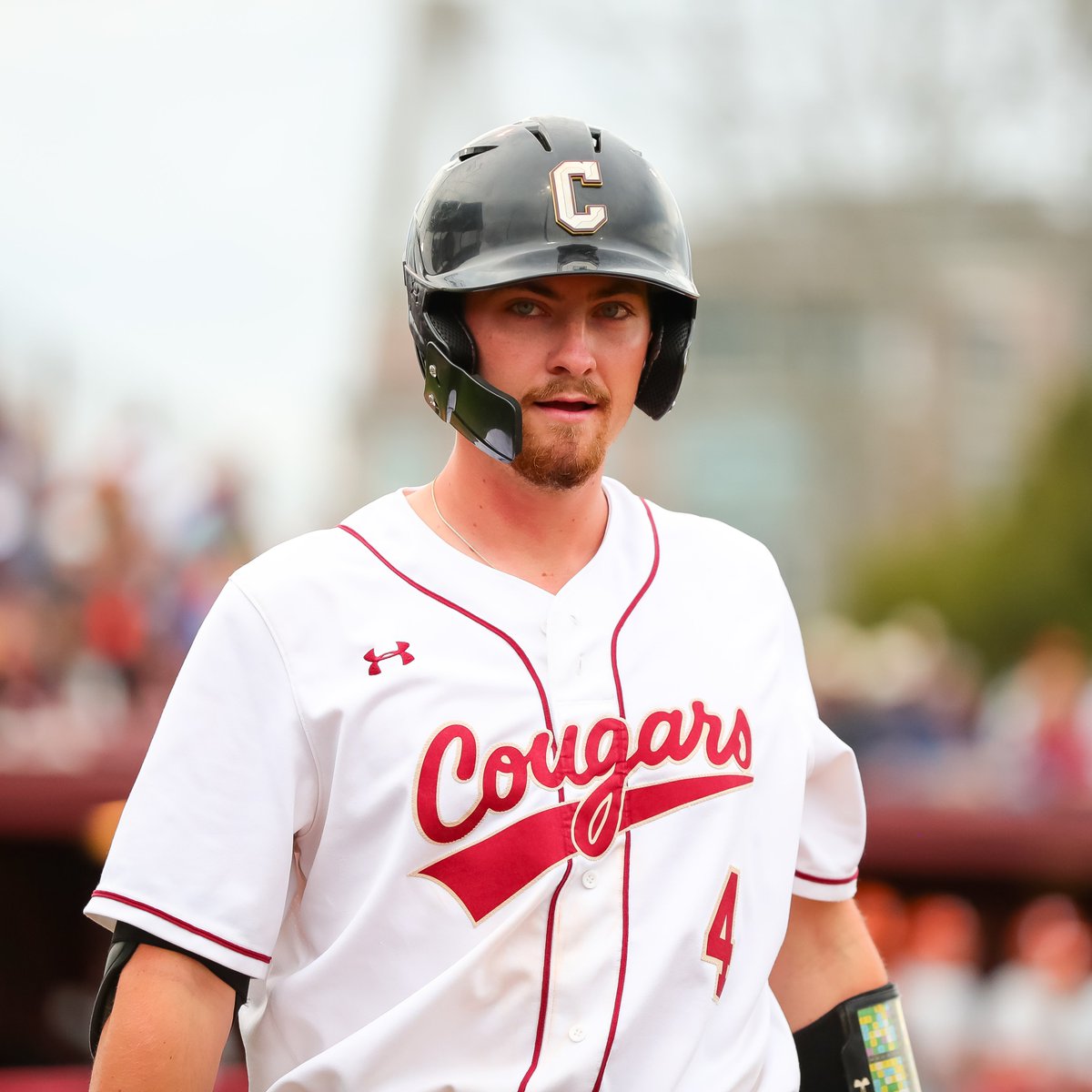 Charleston Baseball tweet media