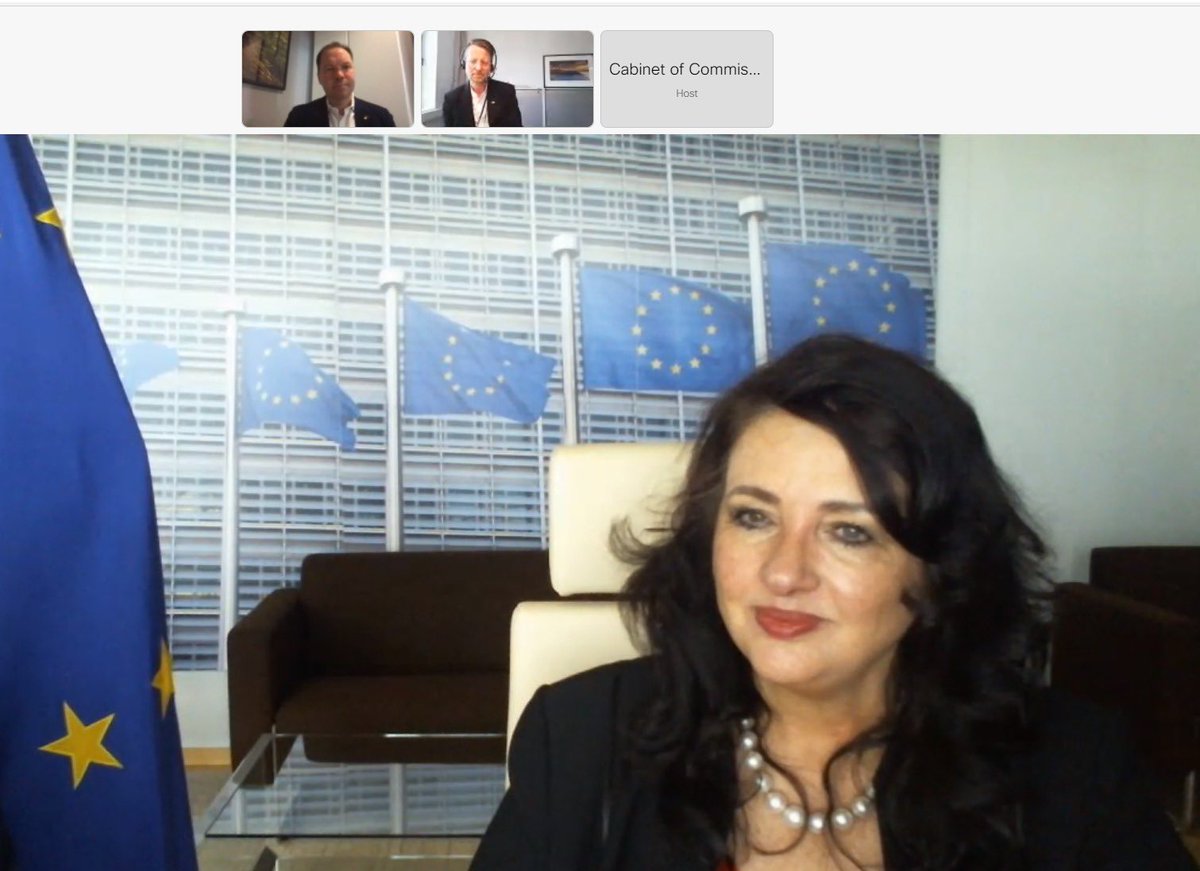 Commissioner Dalli during the call