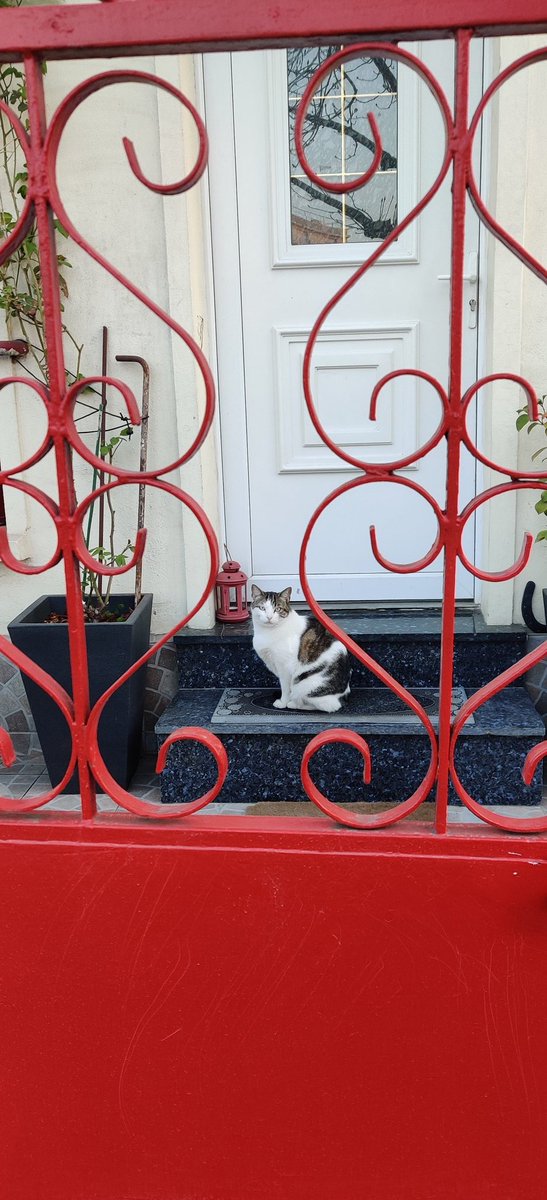 Serendipity2_3's tweet photo. #FindingYoongi in Paris ๐ https://t.co/lFhOakzbTx