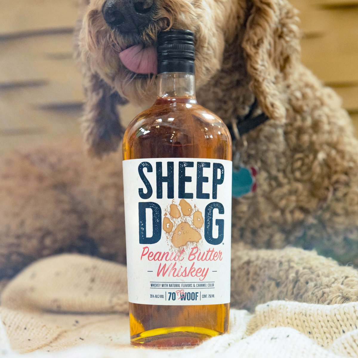 No such thing as old dogs, just big puppies #NationalPuppyDay

(Not approved for Canine Consumption 🐶🥜🥃)

#SheepDogWhiskey #PeanutButterWhiskey #SpreadTheWord #peanutbutterlover #whiskey