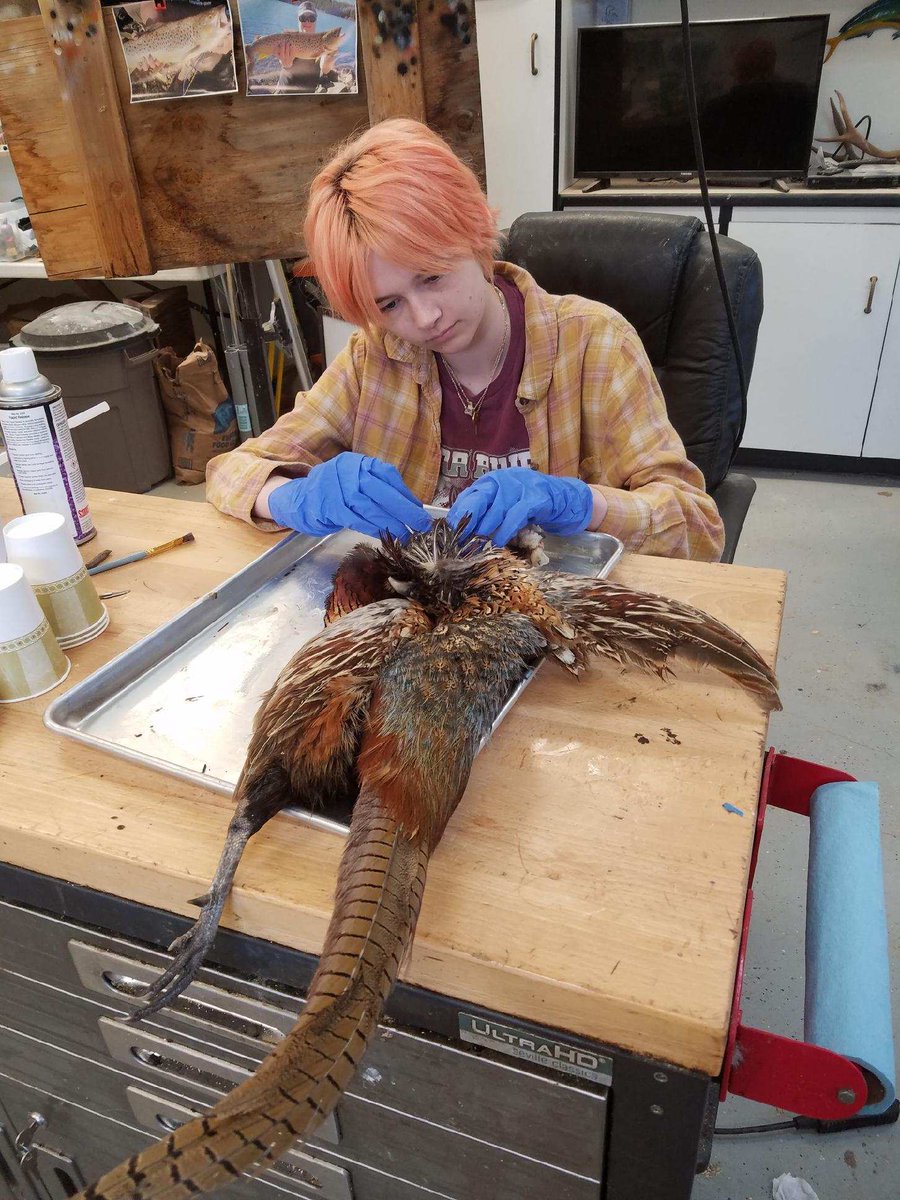 bitney_prep's tweet image. Today's INTERNSHIP SPOTLIGHT is on Sienna from the Bitney Prep Class of 2025. Sienna has an amazing internship at Wildlife Memories Taxidermy.
To find out more about this amazing internship, check out bitneyprep.net/wildlife-memor…