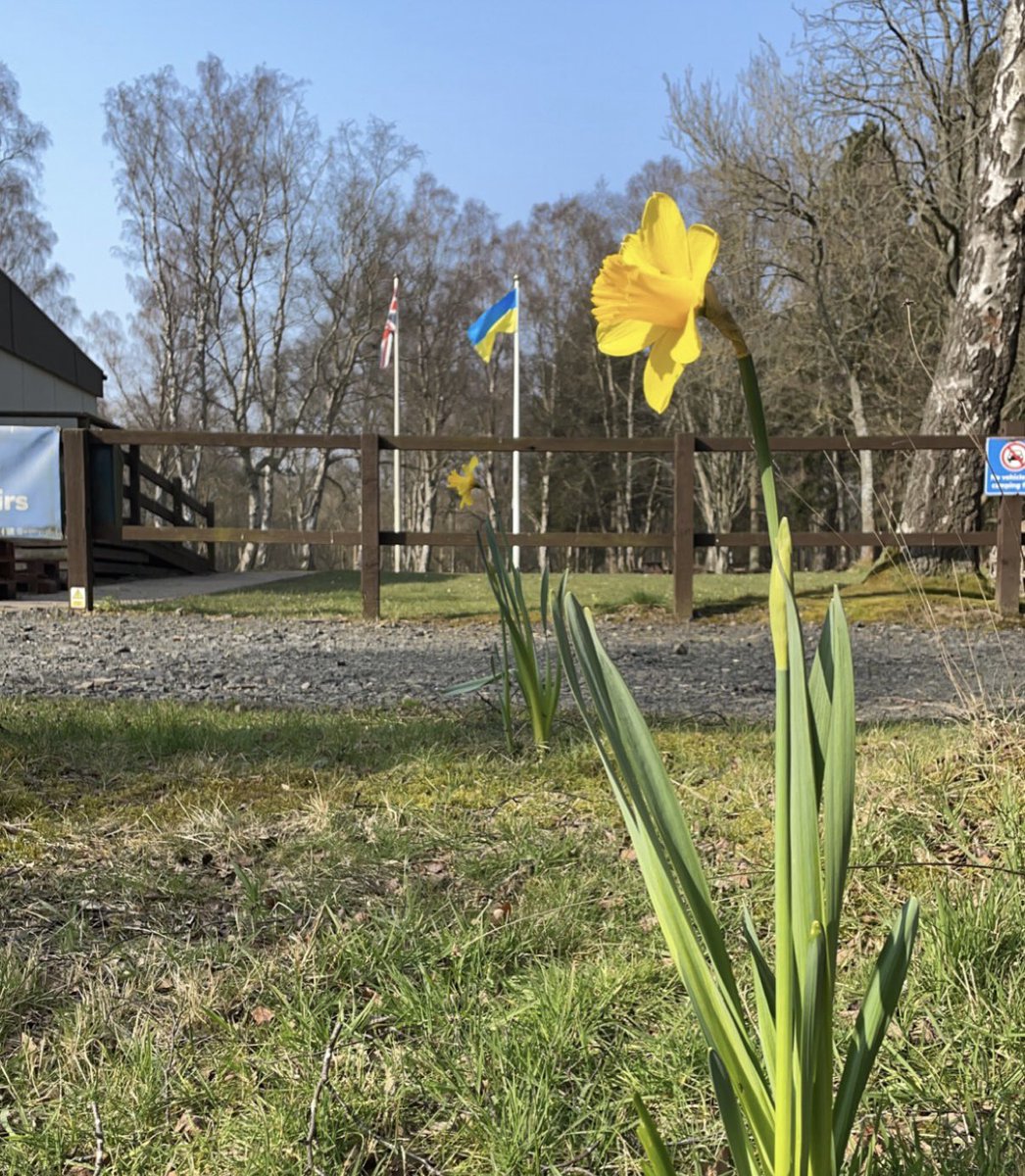 Hello Spring! 🌼🔆🏕