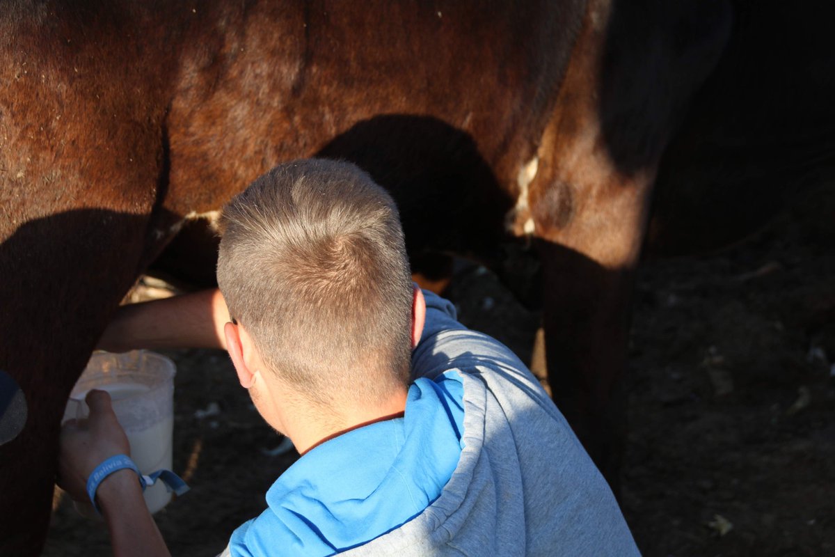 4 jaar terug mocht ik bouwen in Bolivia! Naast het bouwen mocht ik  die weken een keer helpen met het melken van koeien. Dit was niet te vergelijken met NL, wel een bijzondere ervaring.

Check de link voor de verandering in het dorp, deels door onze groep!
worldservants.nl/projectupdate/…