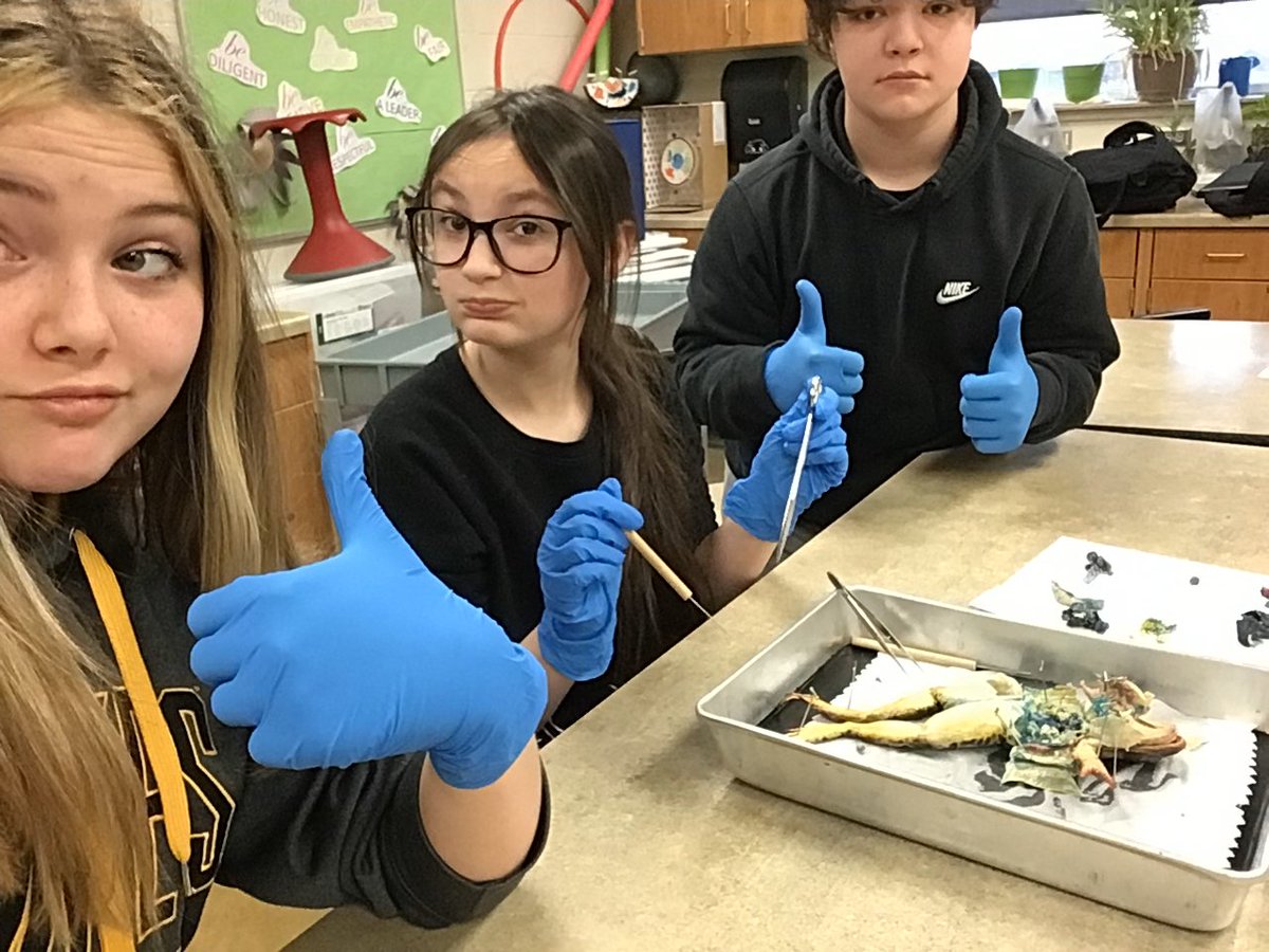 mrstschudy's tweet photo. Jumping for learning in 7th grade science!! #hsmstigers https://t.co/AgjufRWwTR