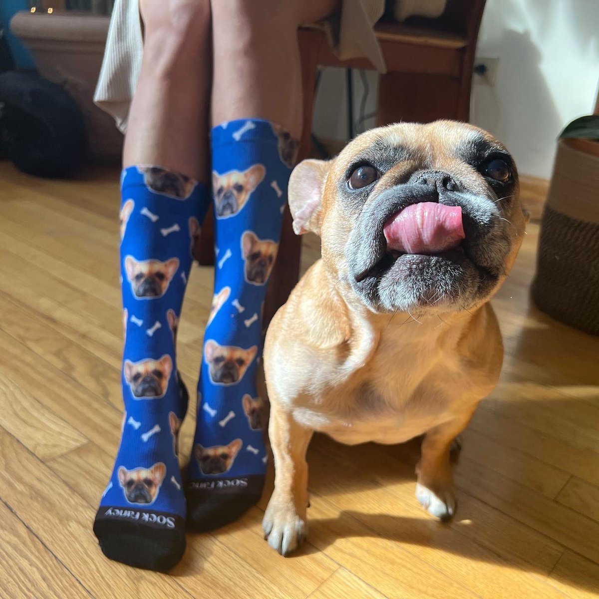 Sock Fancy tweet media