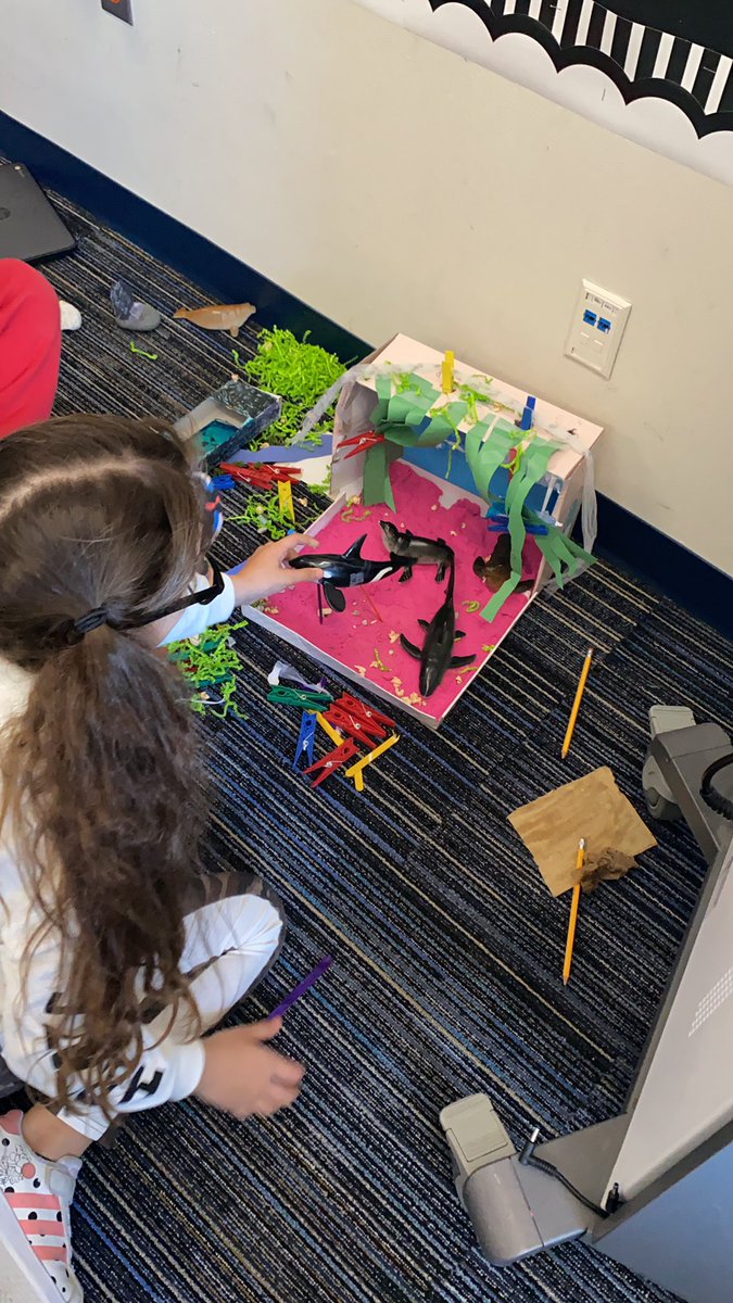 Andrea Manos tweet media