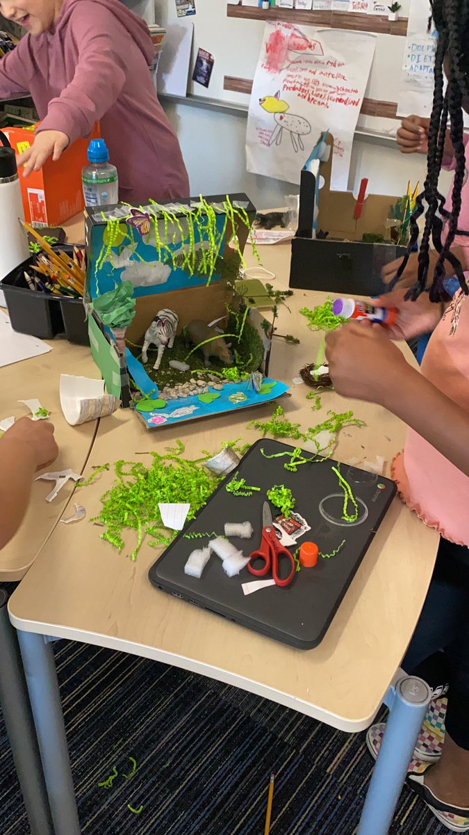 Andrea Manos tweet media