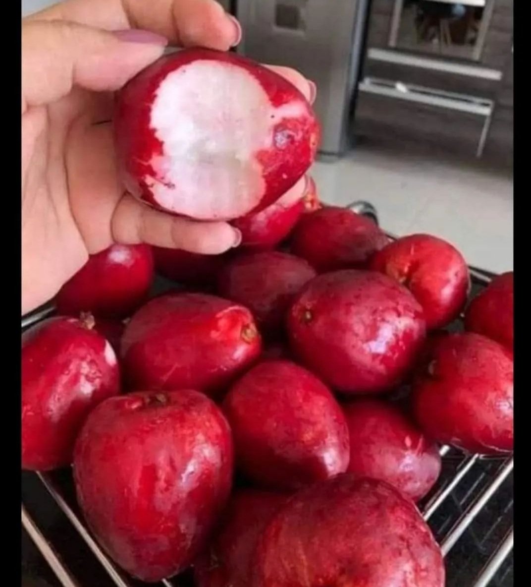 ¿ Cómo llaman a este fruto en tú terruño ? Se abre el debate.