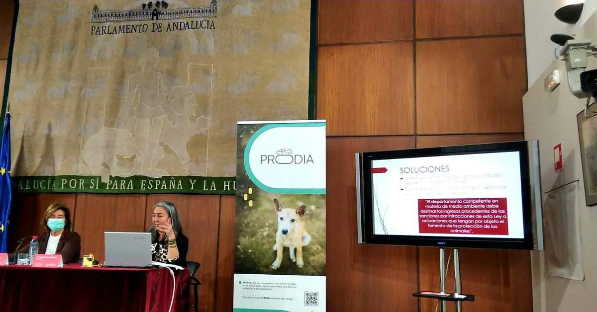 ProtectoraTlCdM's tweet photo. Muy contentos con el día de ayer. Como sabéis, fuimos invitados al Parlamento de Andalucía para participar en las jornadas contra el maltrato y abandono animal organizadas por @ProdiaConecta. 

Podéis ver la ponencia completa en el siguiente enlace
https://t.co/ckrmvW84zz https://t.co/HjkOsu3bEU