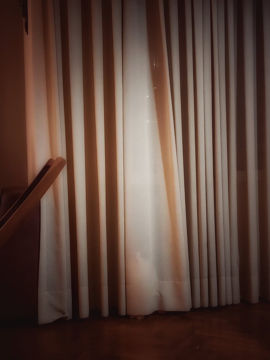 daily hidden object game - find the cat